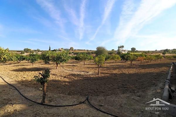 Terreno en calle Cruz