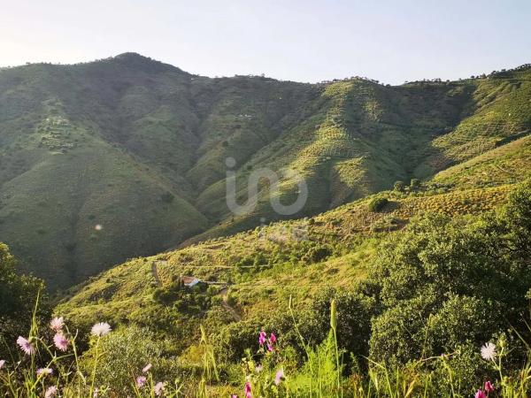 Terreno en Barrio Olías