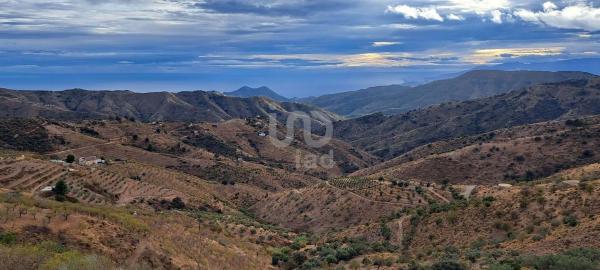Terreno en Barrio Olías