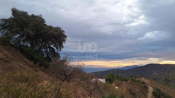 Terreno en Barrio Olías