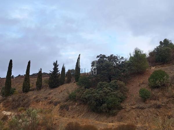 Terreno en Barrio Olías