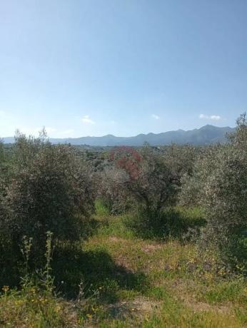 Terreno en Buenavista-Lauro Golf