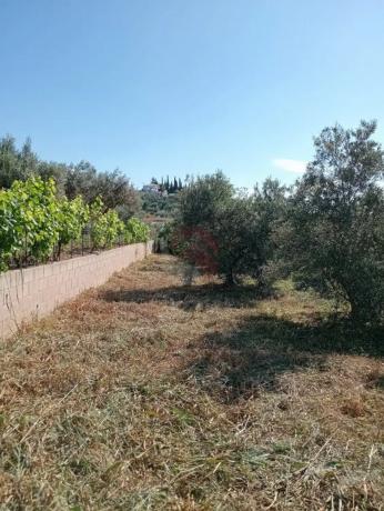 Terreno en Buenavista-Lauro Golf