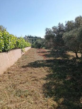 Terreno en Buenavista-Lauro Golf