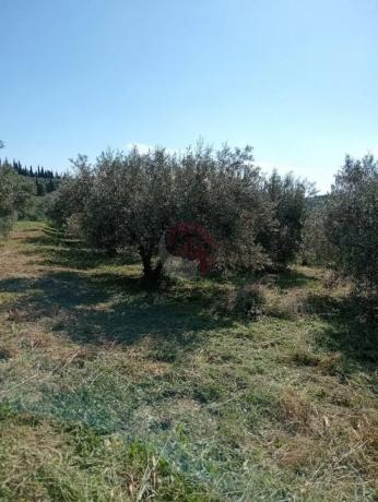 Terreno en Buenavista-Lauro Golf