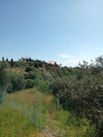Terreno en Buenavista-Lauro Golf