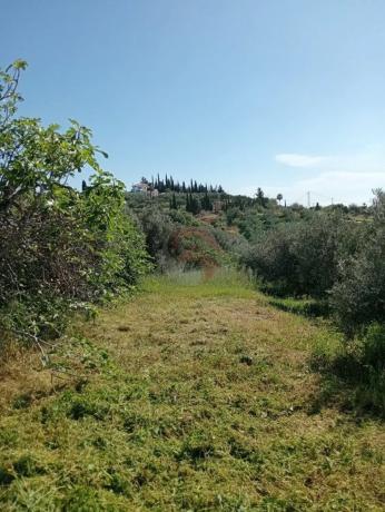 Terreno en Buenavista-Lauro Golf