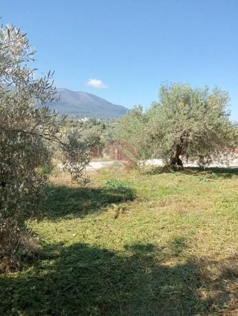 Terreno en Buenavista-Lauro Golf