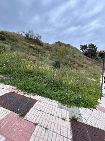 Terreno en calle Reyezuelo