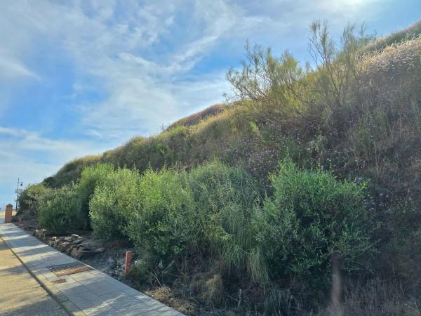 Terreno en El Peñoncillo