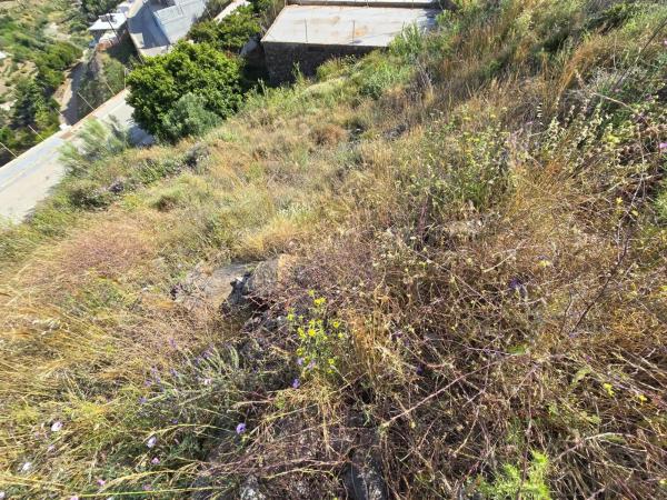 Terreno en El Peñoncillo