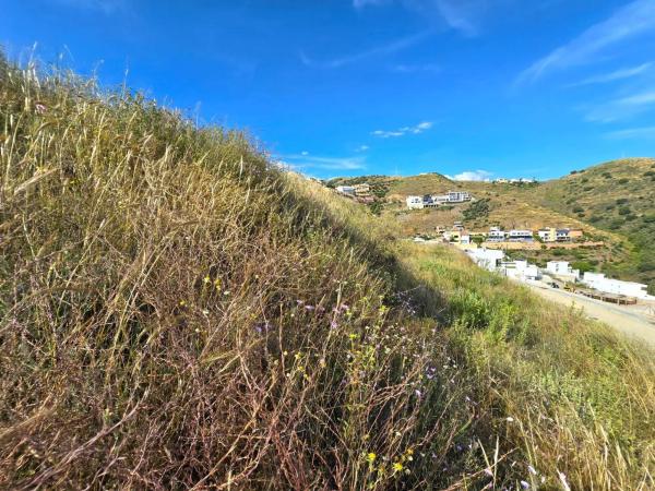 Terreno en El Peñoncillo