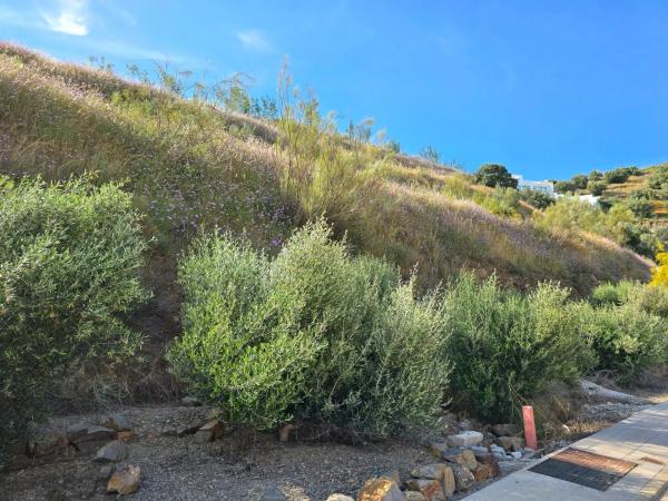 Terreno en El Peñoncillo