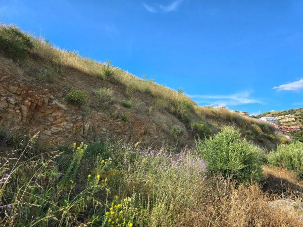 Terreno en El Peñoncillo