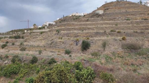Terreno en El Peñoncillo