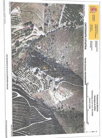 Terreno en Avda Pescia - Ctra de Frigiliana
