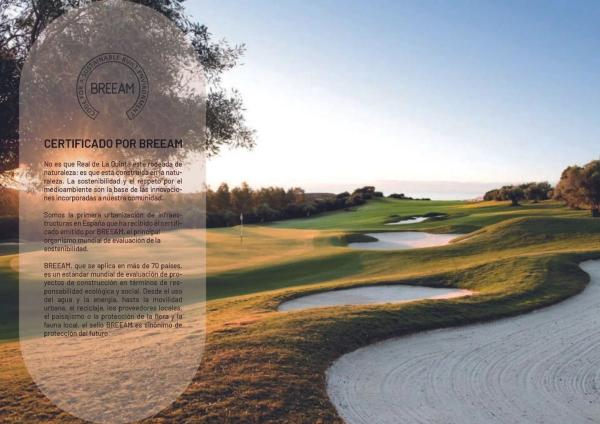 Terreno en calle Lago de la Concepción