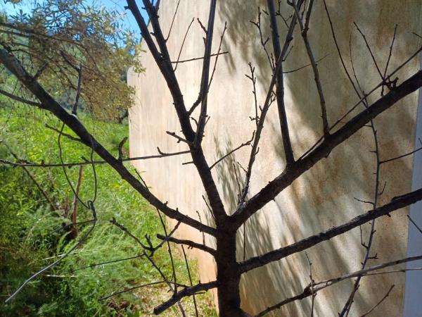Terreno en Barrio Olías