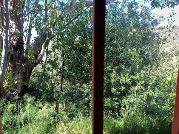 Terreno en Barrio Olías