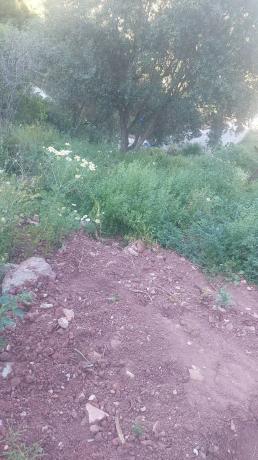 Terreno en calle Escritor Francisco José Fernández