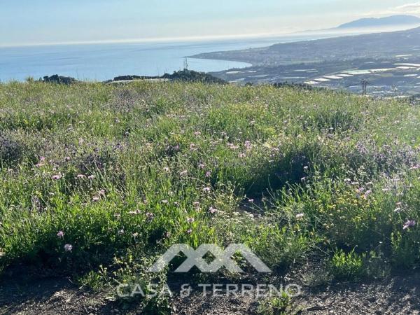 Terreno en Algarrobo