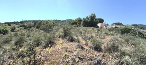 Terreno en Pinos de Alhaurín