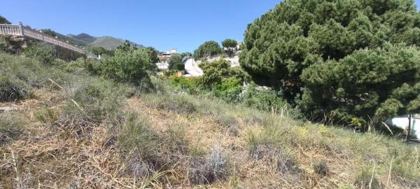 Terreno en Pinos de Alhaurín