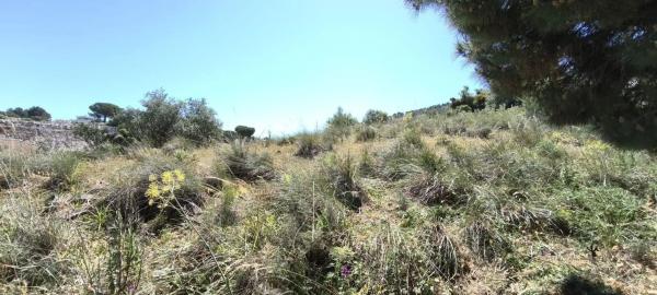 Terreno en Pinos de Alhaurín