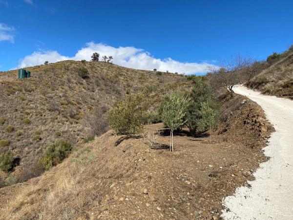 Terreno en carretera Benamargosa, 1 a