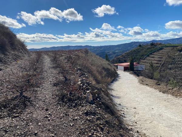Terreno en carretera Benamargosa, 1 a