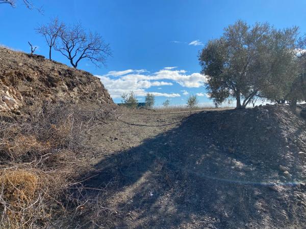 Terreno en carretera Benamargosa, 1 a