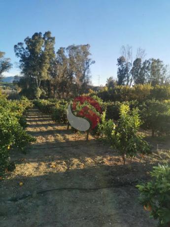 Terreno en Diseminados