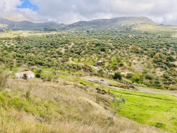 Terreno en Periana