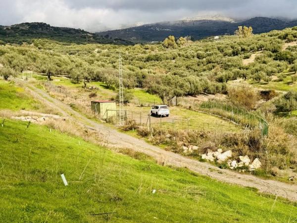 Terreno en Periana