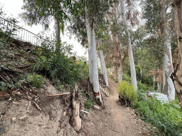Terreno en Barrio Olletas - Sierra Blanquilla