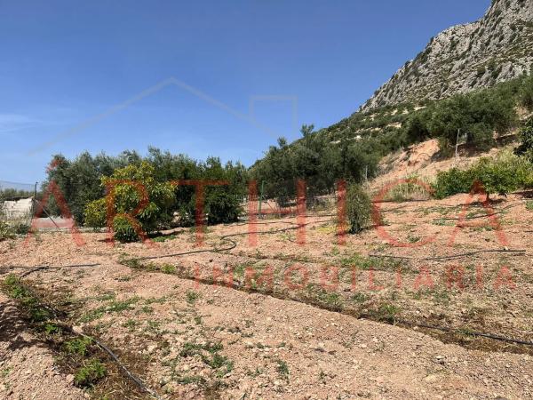 Terreno en Diseminado Poligono 74