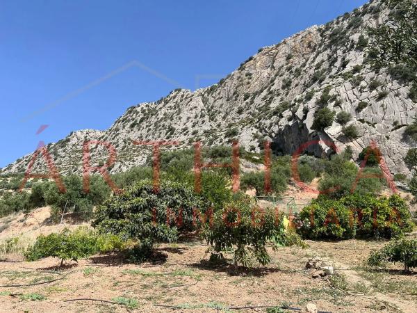 Terreno en Diseminado Poligono 74