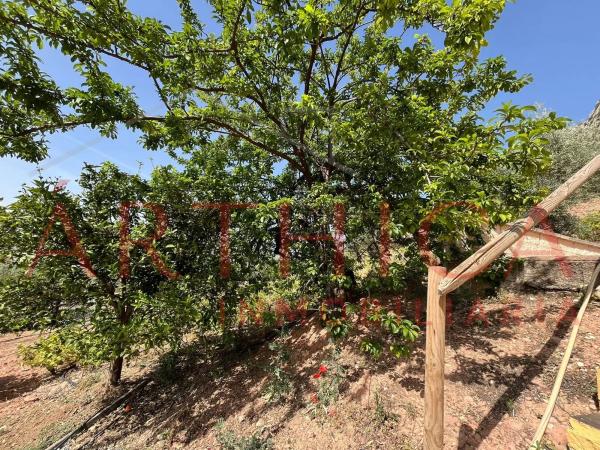 Terreno en Diseminado Poligono 74