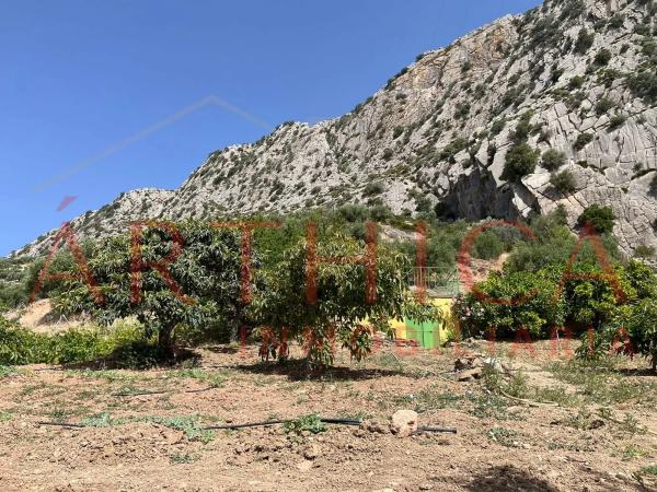 Terreno en Diseminado Poligono 74