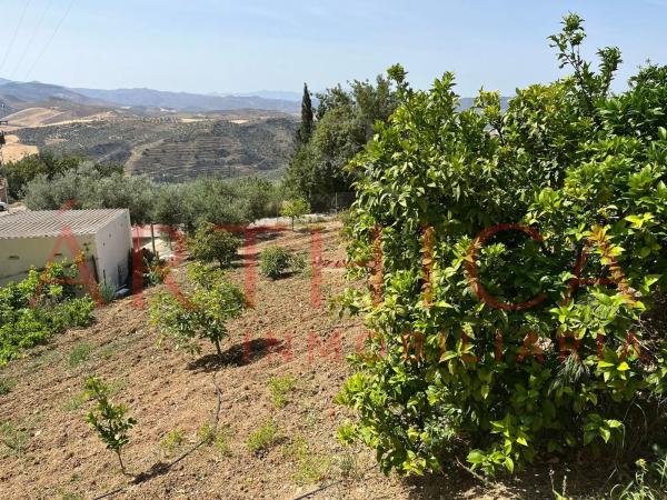 Terreno en Diseminado Poligono 74