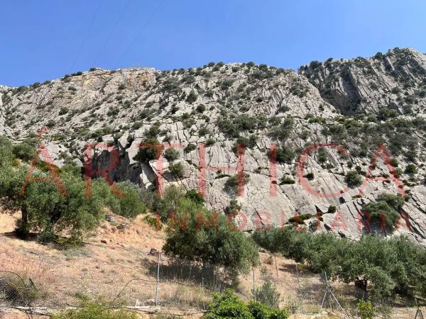 Terreno en Diseminado Poligono 74