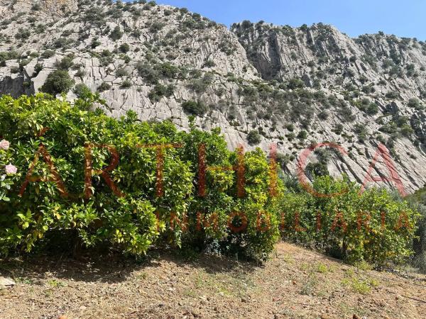 Terreno en Diseminado Poligono 74