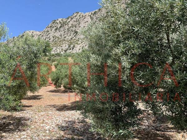 Terreno en Diseminado Poligono 74