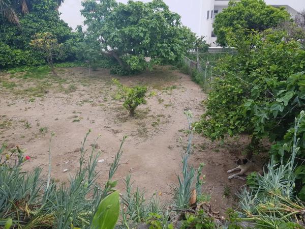 Terreno en calle los Bancales