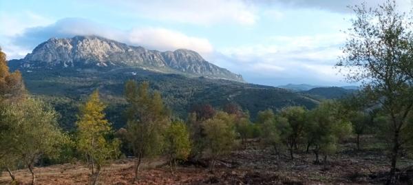 Terreno en A-377, 23 .5