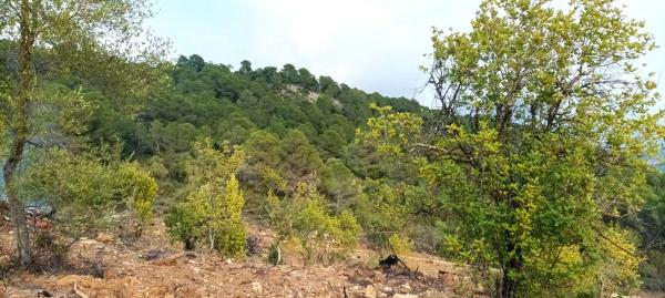 Terreno en A-377, 23 .5