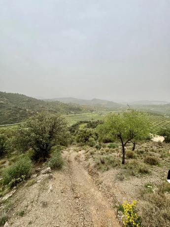 Terreno en calle el Algibe