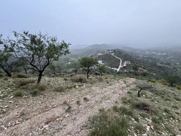 Terreno en calle el Algibe