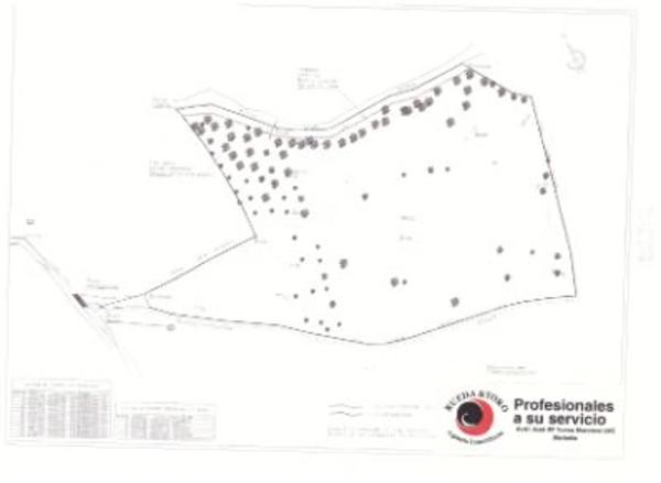 Terreno en Partido el Quinto Los Alamillos polg 8