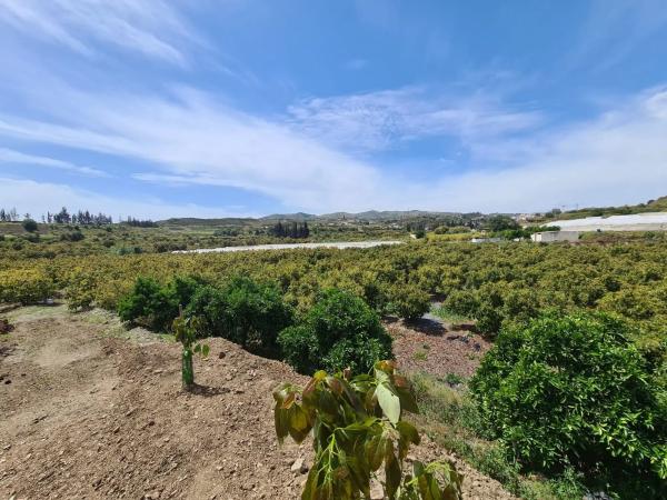 Terreno en Diseminado Cabrillas